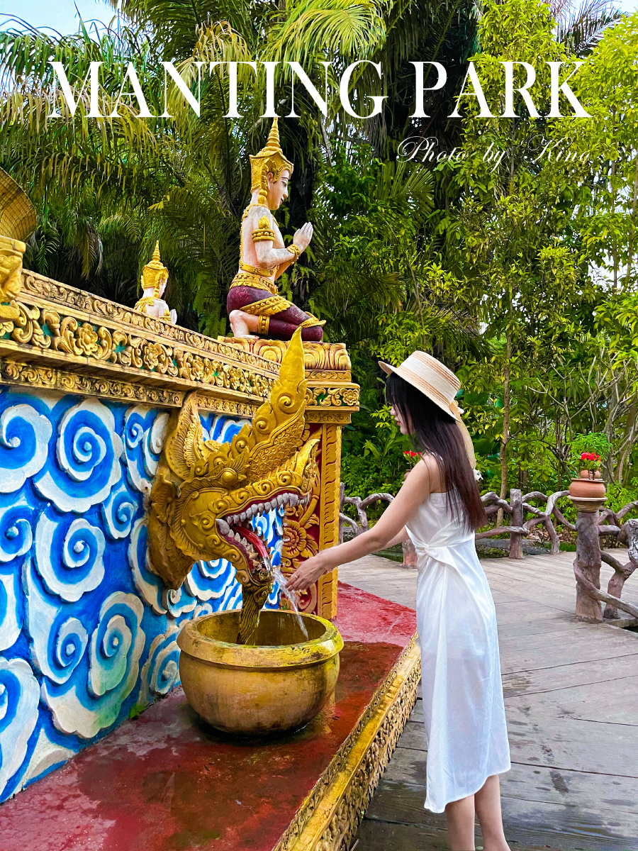 一个人的旅行西双版纳曼听公园第一次尝试蓝牙自拍杆12promax拍摄自己