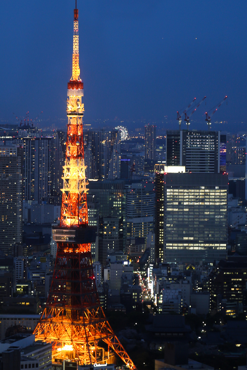 若草山的日落和爱 #日本#东京#奈良#日落#婚纱照#爱情#城市风光#自然