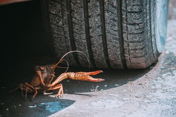 _IMG5883