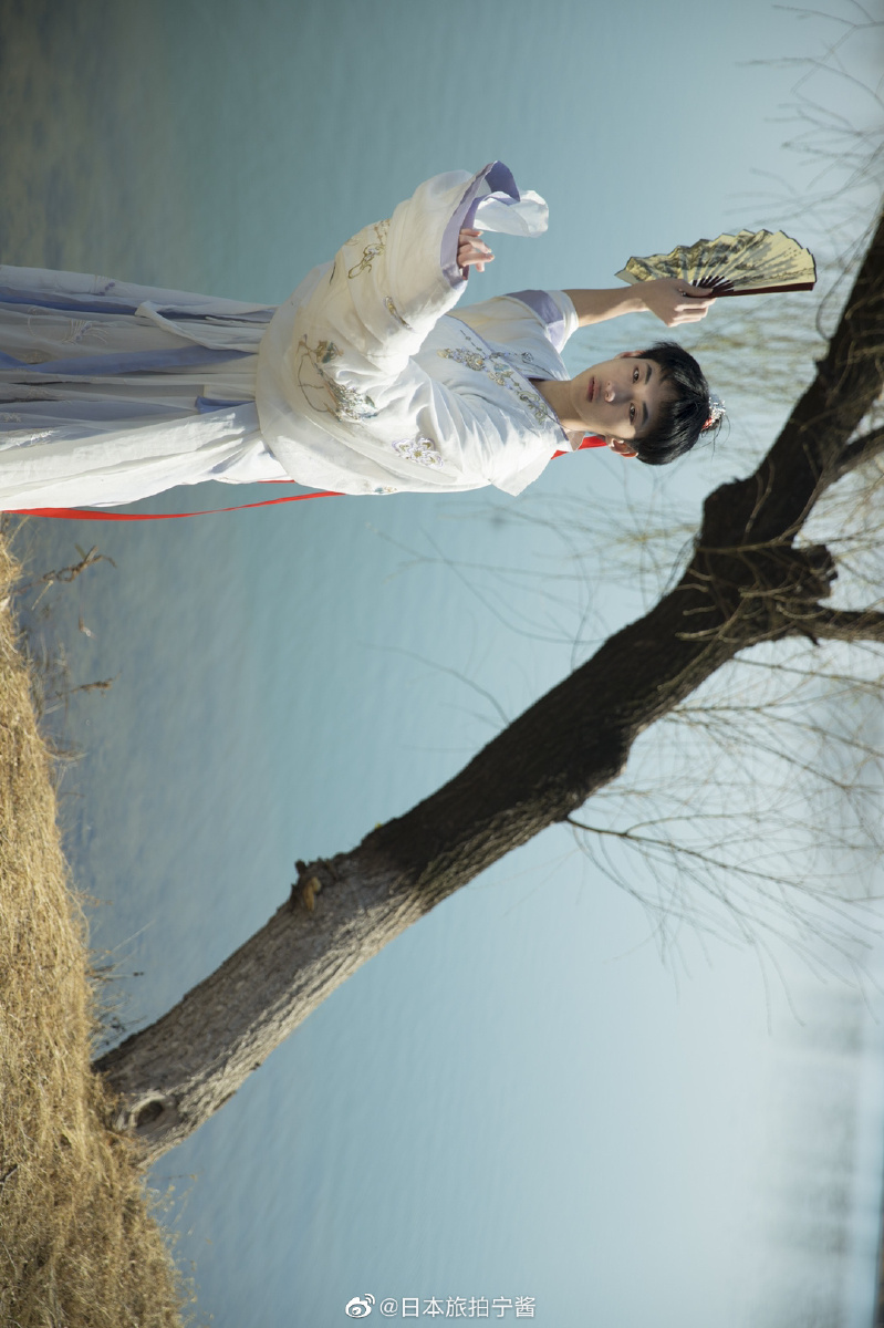 樱雨墨落春光如焰