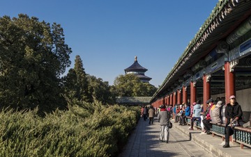 _IGP9162.jpg