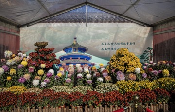 _IGP8970.jpg