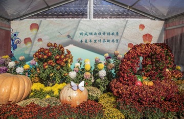 _IGP8964.jpg
