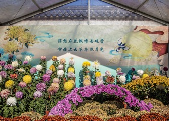 _IGP8962.jpg