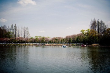 _IGP8940.jpg