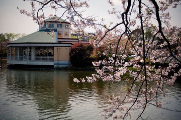 _IGP8939.jpg