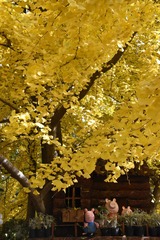 _IGP8928.jpg