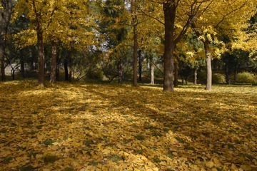 _IGP8926.jpg