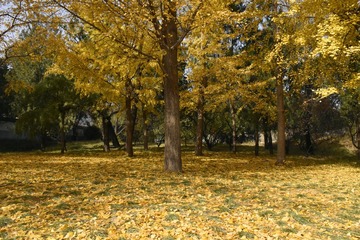 _IGP8920.jpg