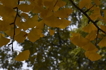 _IGP8913.jpg