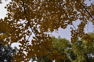 _IGP8911.jpg