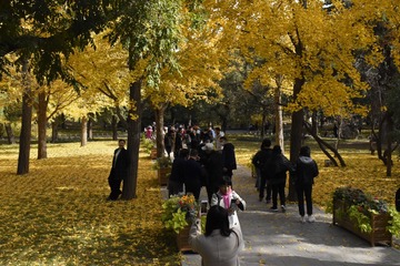 _IGP8895.jpg