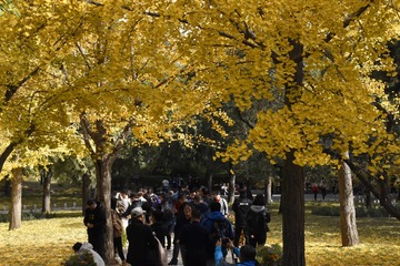 _IGP8892.jpg