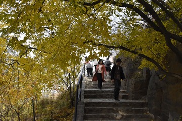 P1080036