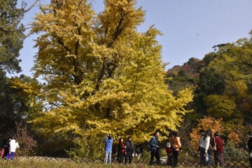 P1080026