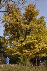 P1080025
