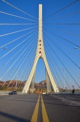 SXH_4746