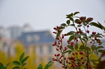 SXH_5023