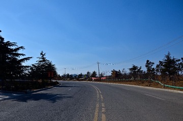 SXH_6019