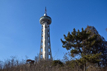 SXH_6038