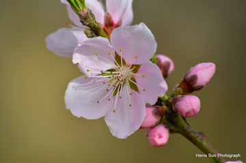 SXH_7789