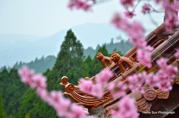 SXH_8234