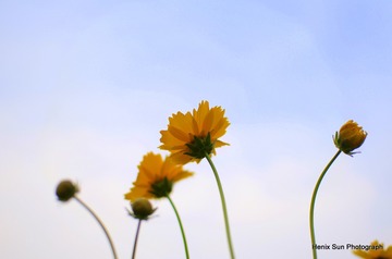 SXH_0048
