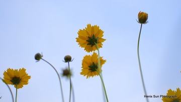 SXH_0049