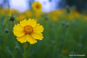 SXH_0058
