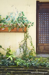 SXH_2012