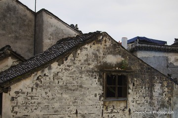SXH_2073