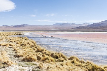 SXH_3035