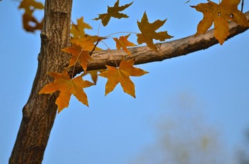 SXH_4556