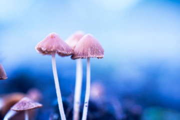 DSC03769_