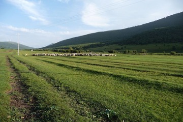 丰宁坝上1
