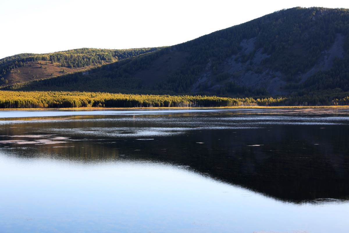 2019初秋的乌苏浪子胡PK2018的乌苏浪子胡