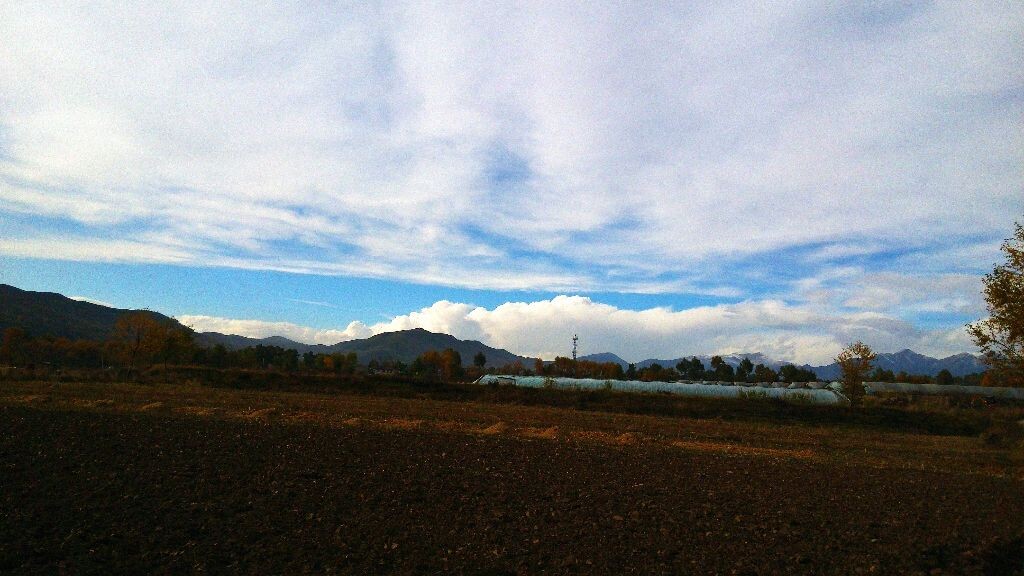 生存