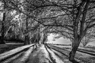 untitled shoot-8693-2