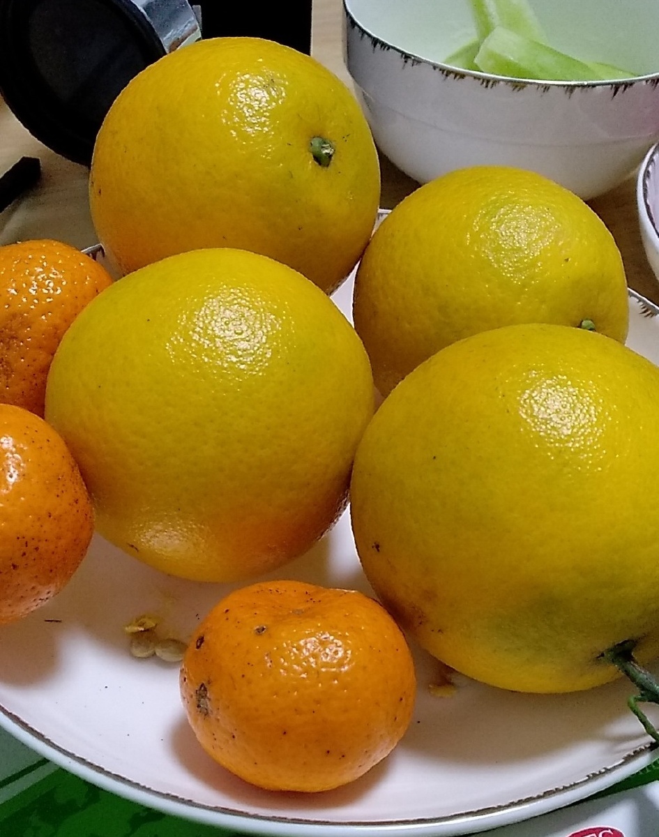 海南旅游品尝当地的青橙 - 泥人123 - 图虫