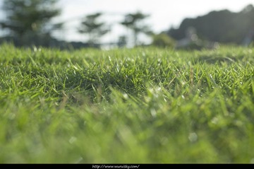 IMGP9672.jpg