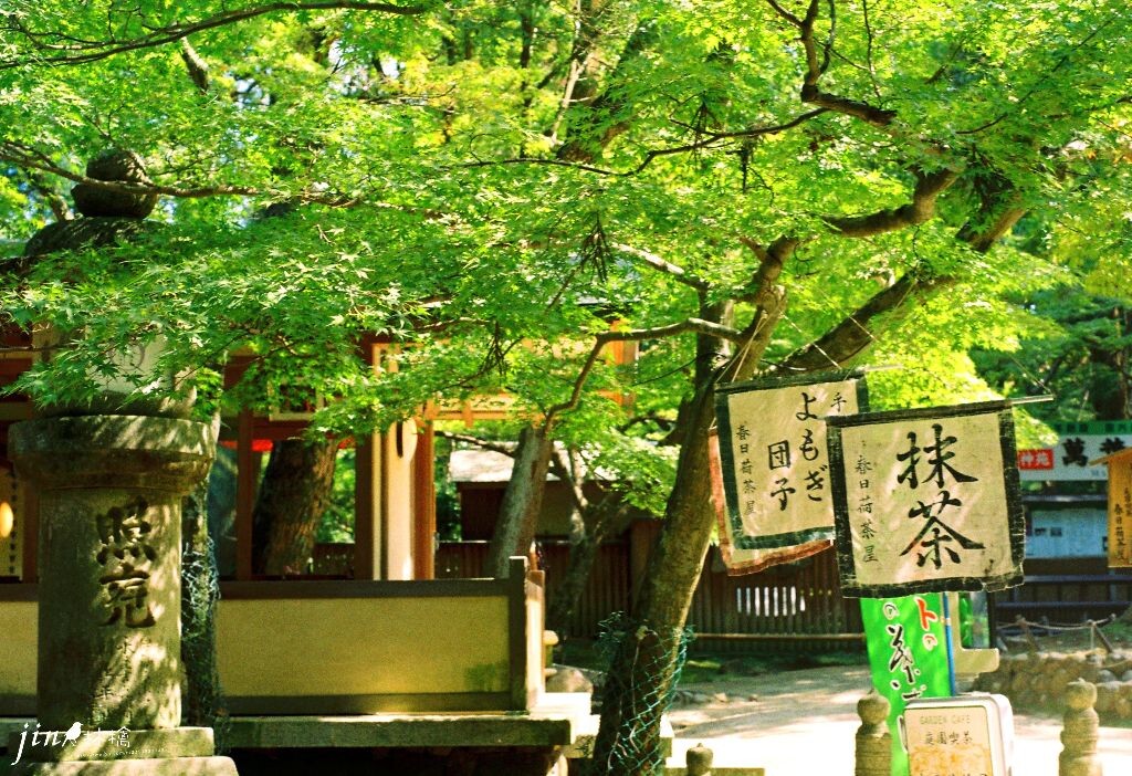 茶屋
