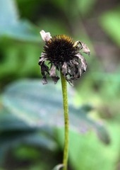 IMG_1595.jpg