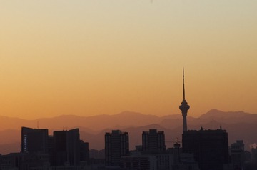 dngDSC_8874
