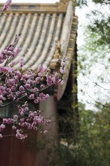 dngDSC_0612