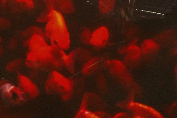 R0037979