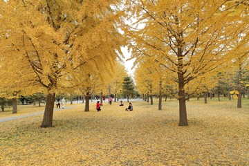 imgp8149_