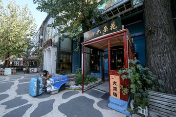 芦苇