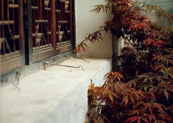 窗台