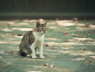IMGP0023_