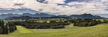 DSC_3428 - 